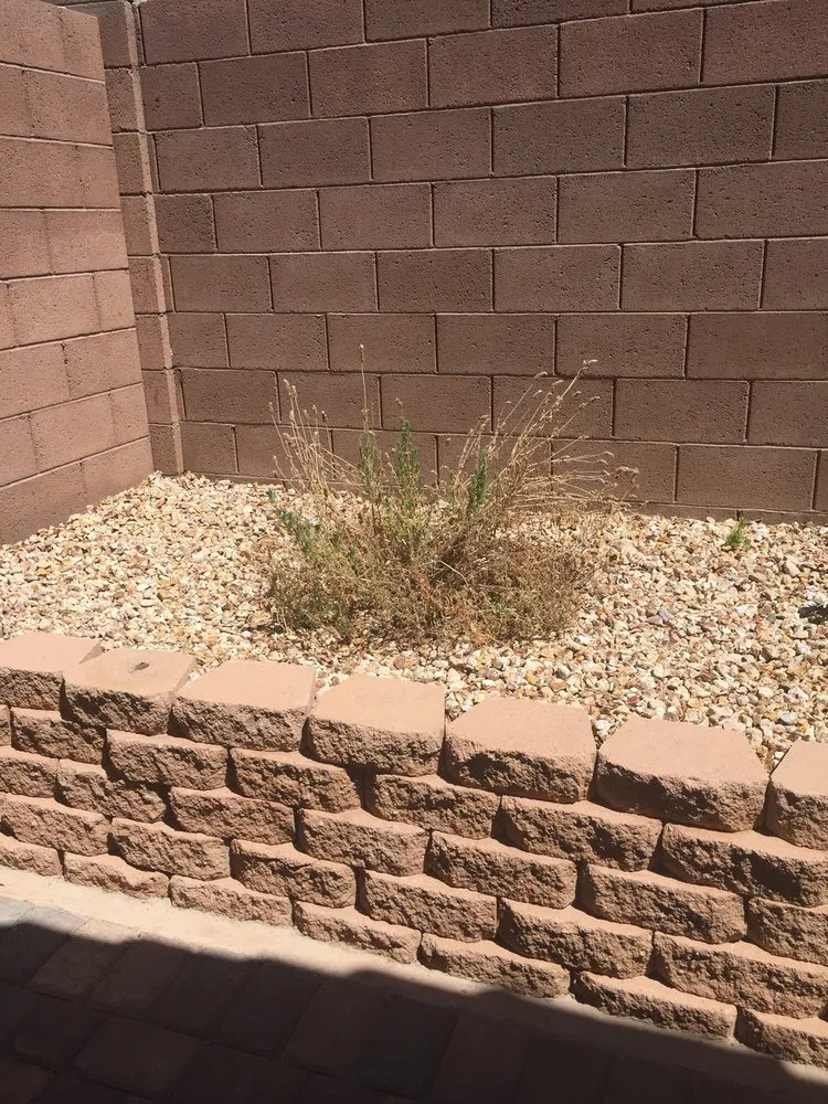 Custom garden landscaping in North Las Vegas, NV - Rodriguez Landscaping Lawn Service