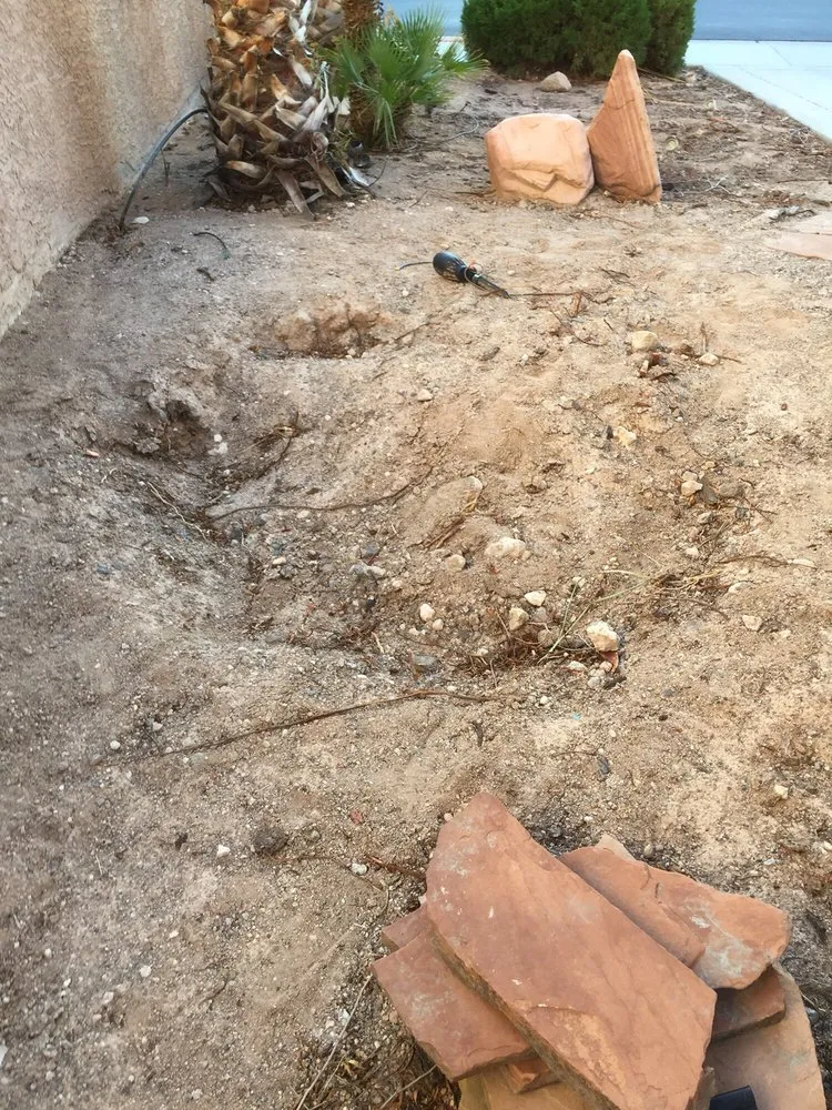 Local yard cleanup service near you across North Las Vegas, NV - Rodriguez Landscaping Lawn Service