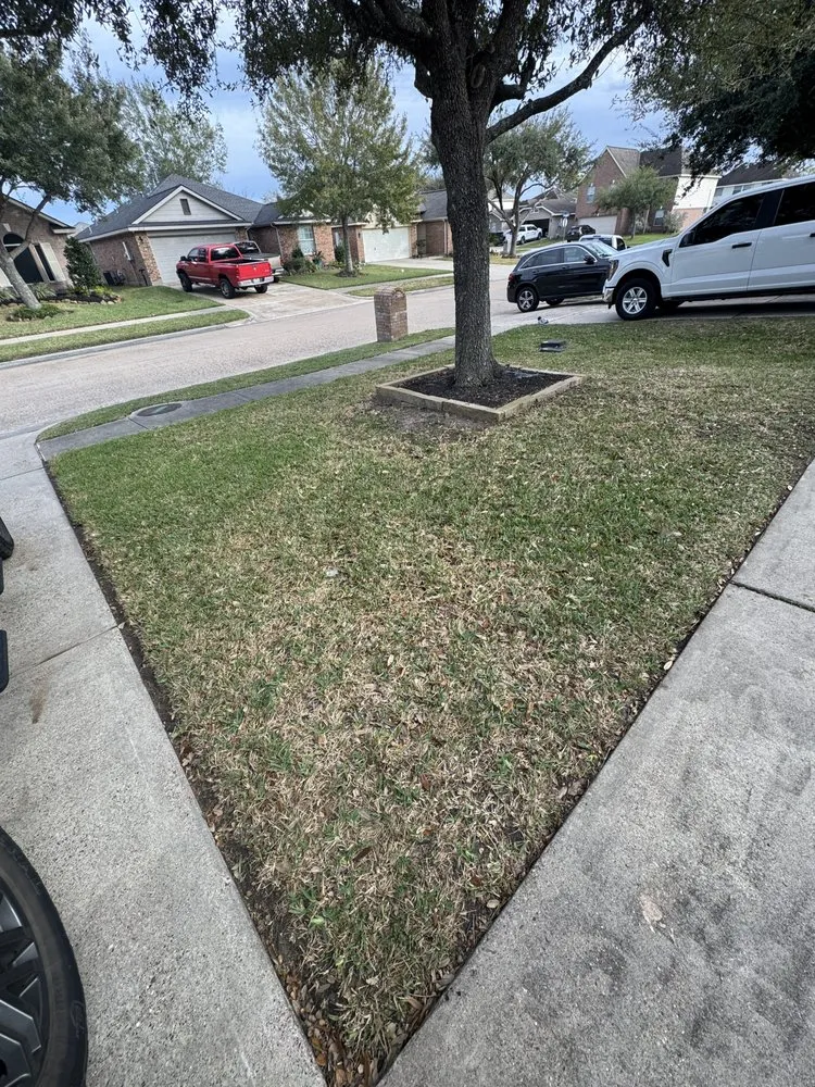 Expert yard cleanup service in Pasadena, TX - Rodriguez Landscaping