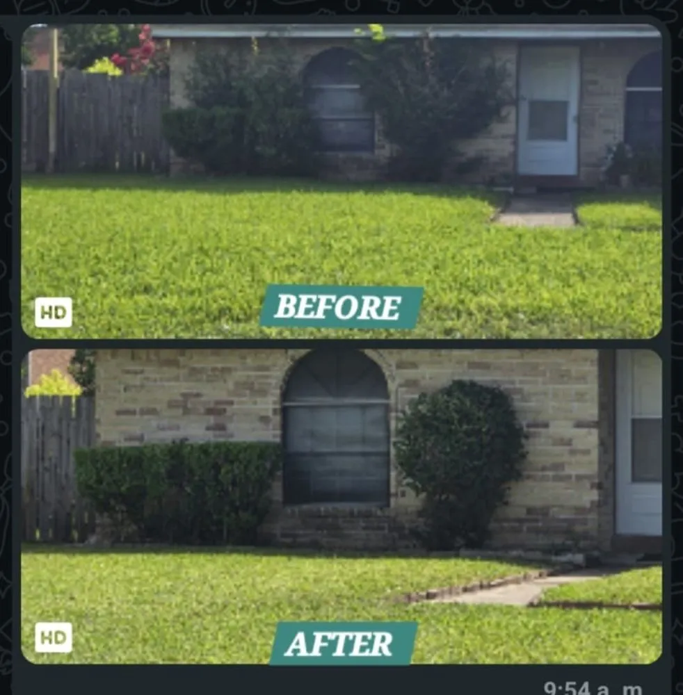 Top-rated outdoor landscaping for beautiful yards across Pasadena, TX - Rodriguez Landscaping