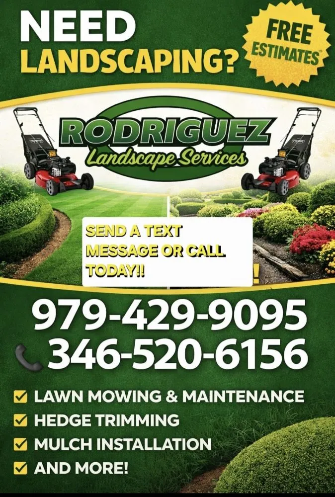Professional yard cleanup service for year-round maintenance in Pasadena, TX by Rodriguez Landscaping