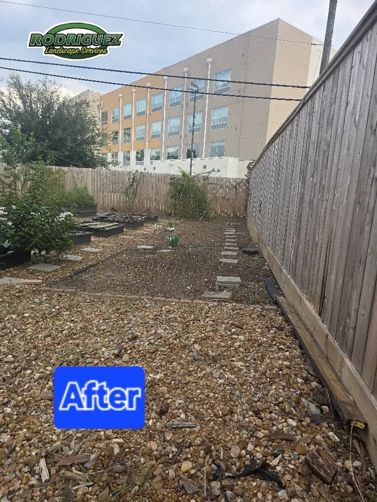 Local yard maintenance for year-round maintenance across Pasadena, TX - Rodriguez Landscaping