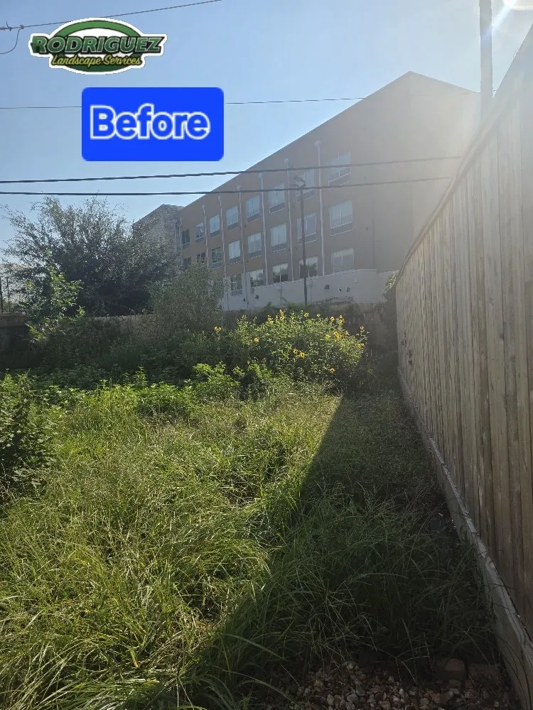 Top-rated lawn mowing service in Pasadena, TX by Rodriguez Landscaping