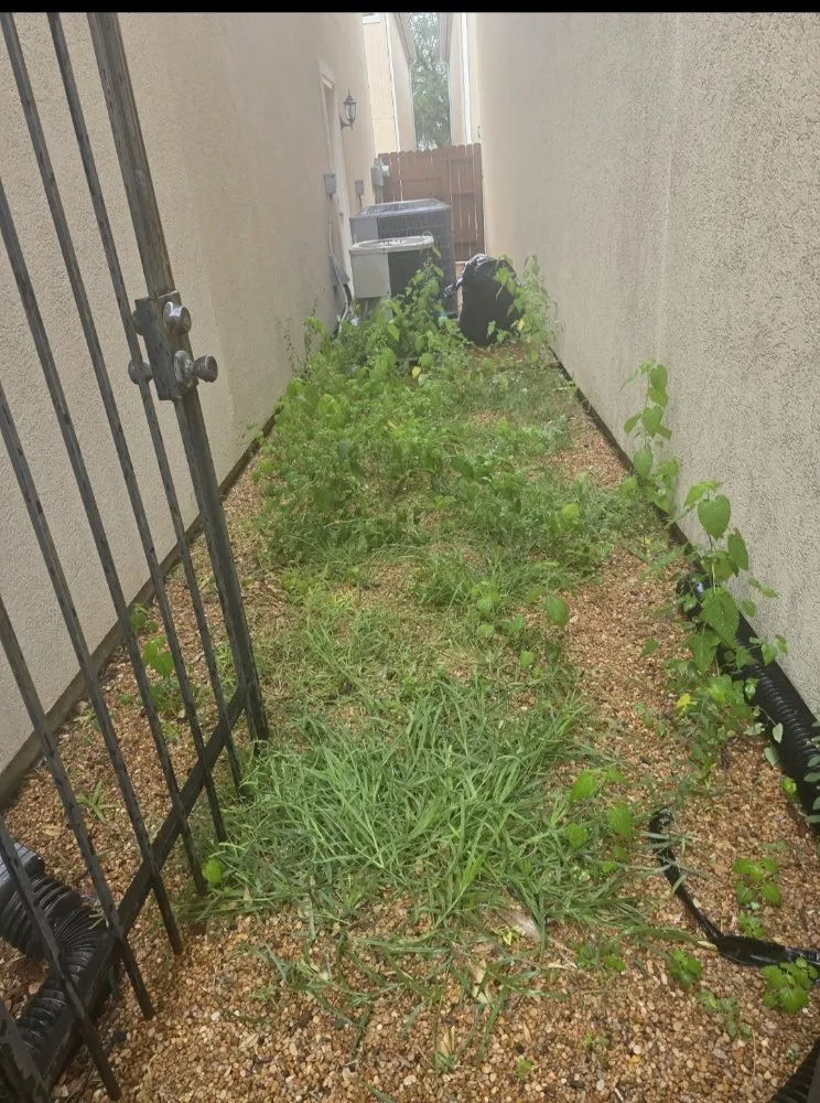 Professional lawn care service for homes in Pasadena, TX by Rodriguez Landscaping