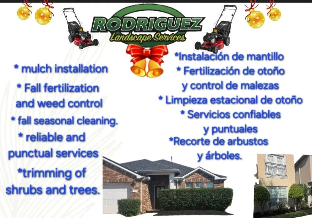 Reliable yard cleanup service experts serving Pasadena, TX - Rodriguez Landscaping