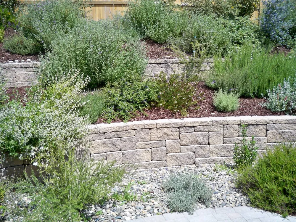 Professional outdoor landscaping in Paso Robles, CA by Rodriguez Landscaping