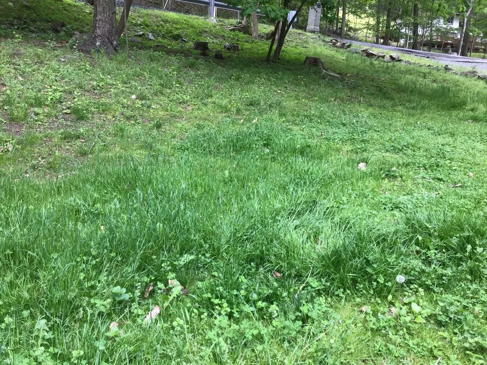 Affordable landscape installation for year-round maintenance across Rock Tavern, NY - Rodriguez Landscaping