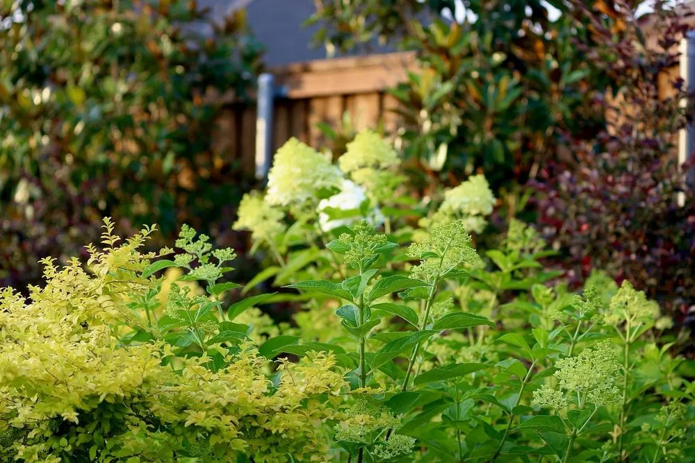 Local outdoor landscaping near you across Rowlett, TX - Rodriguez Landscaping