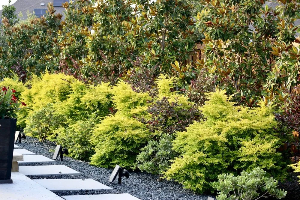 Expert landscaping services experts serving Rowlett, TX - Rodriguez Landscaping