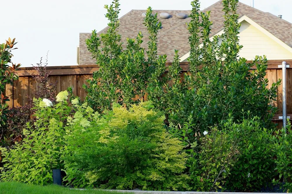 Reliable outdoor landscaping in Rowlett, TX - Rodriguez Landscaping