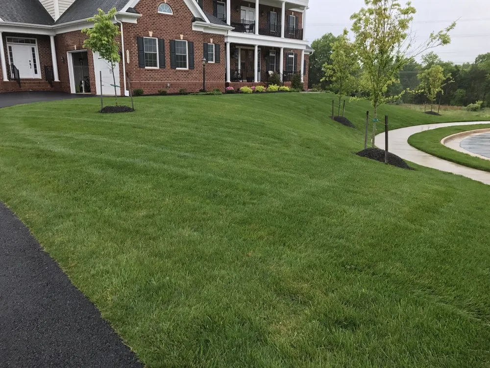 Reliable yard maintenance in Chantilly, VA by Rodriguez Landscaping Services