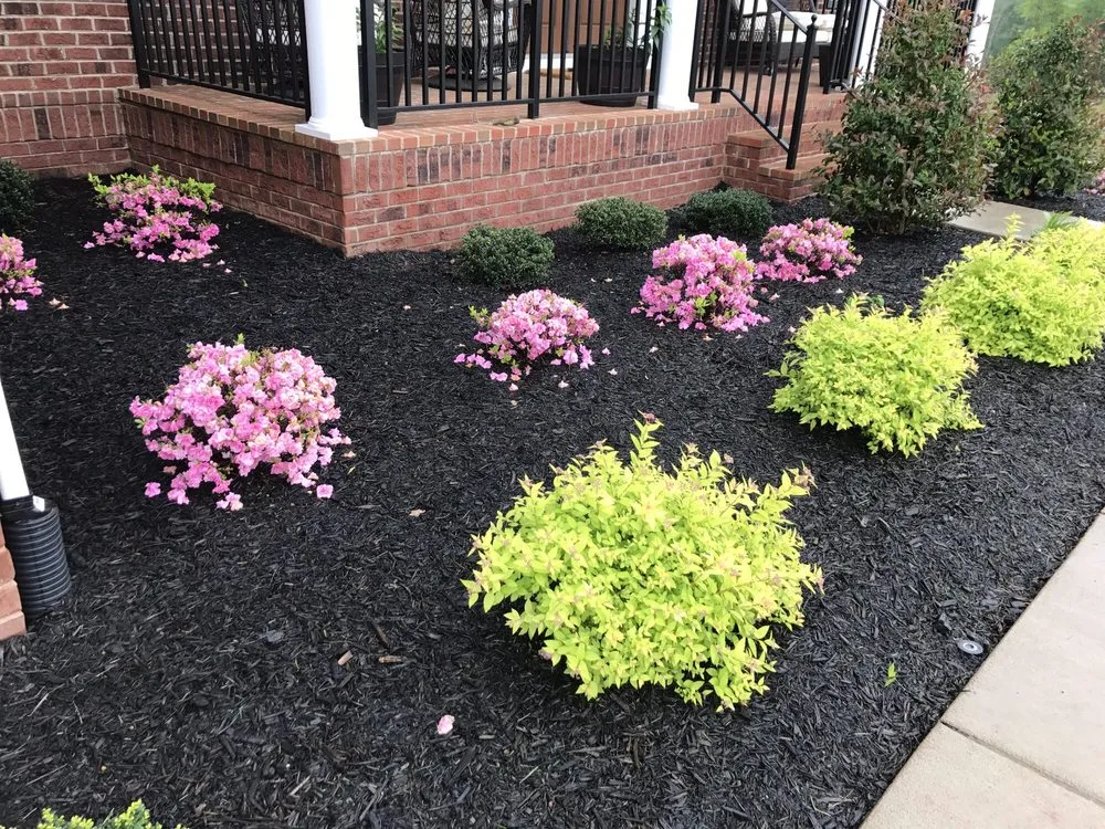 Top-rated landscape design in Chantilly, VA - Rodriguez Landscaping Services