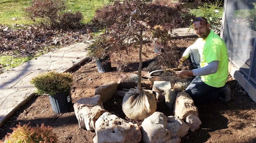 Expert landscaping services experts serving Chantilly, VA - Rodriguez Landscaping Services