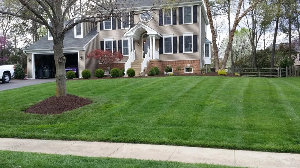 Top-rated yard cleanup service near you in Chantilly, VA by Rodriguez Landscaping Services