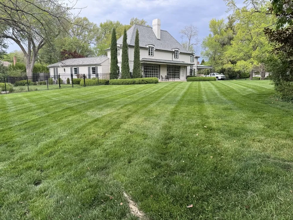 Trusted landscaping services near you in Kansas City, KS by Rodriguez Landscaping Services