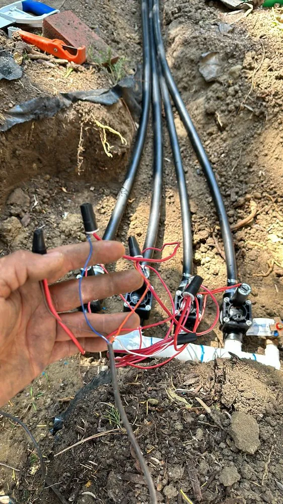 Reliable lawn care service experts serving Thornton, CO - Rodriguez Landscaping Services