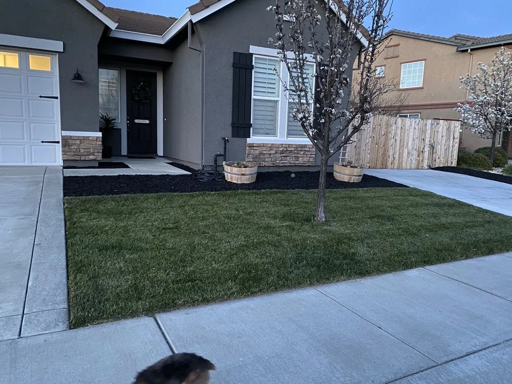 Expert outdoor landscaping for beautiful yards across Vacaville, CA - Rodriguez Landscaping