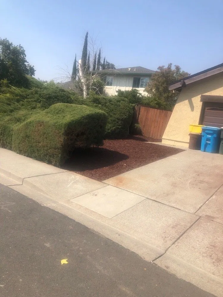 Expert yard cleanup service for residential properties across Vacaville, CA - Rodriguez Landscaping