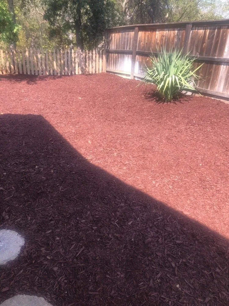 Local yard cleanup service with custom design in Vacaville, CA by Rodriguez Landscaping