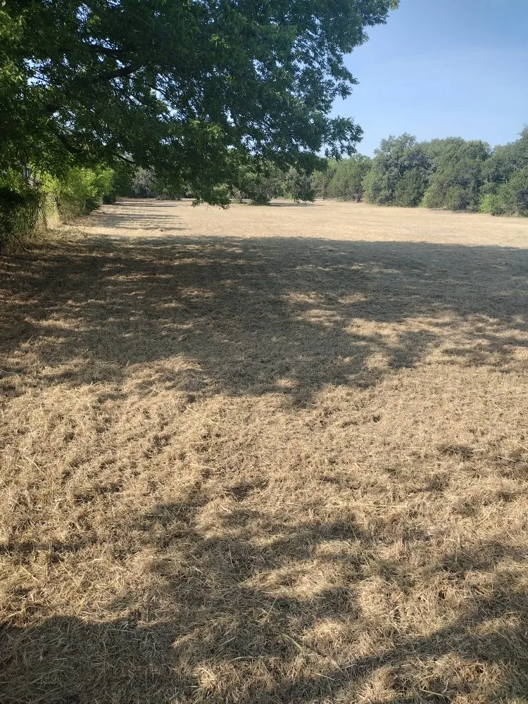 Custom landscape design for homes across Webberville, TX - Rodriguez Landscaping