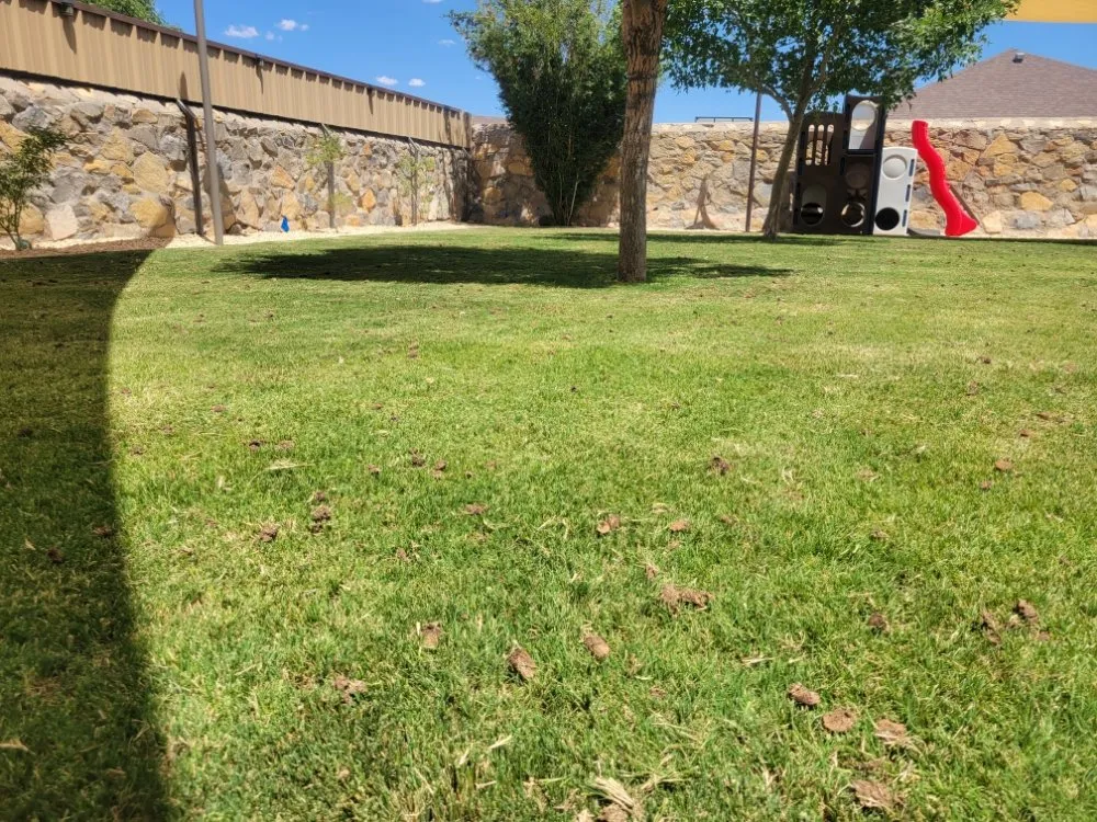 Reliable garden landscaping in El Paso, TX - Rodriguez Lawn Aeration