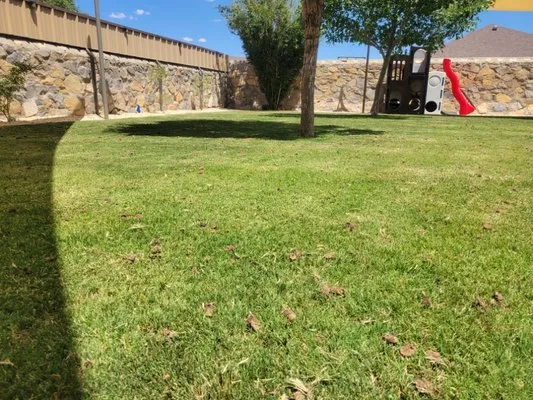 Rodriguez Lawn Aeration Logo