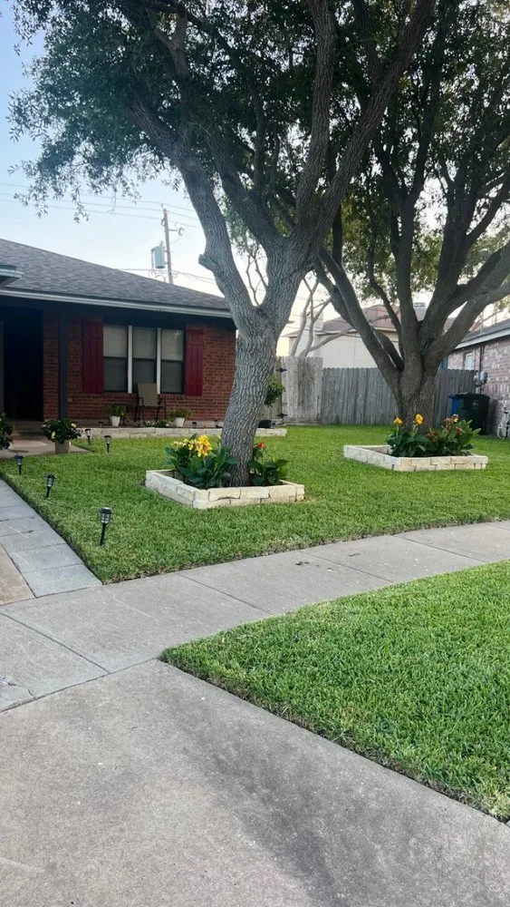Professional lawn care service in Corpus Christi, TX by Rodriguez Lawn Care & More