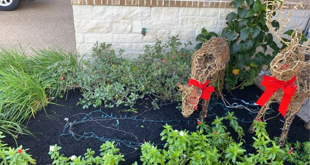 Professional landscaping services for residential properties in Bryan, TX by Rodriguez Lawn Care and Landscaping