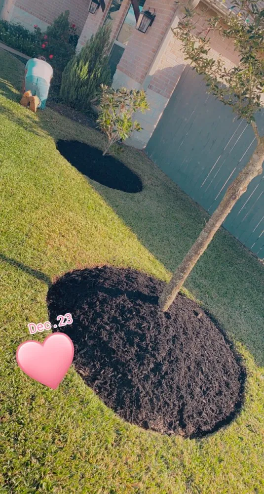 Reliable residential landscaping in Bryan, TX by Rodriguez Lawn Care and Landscaping