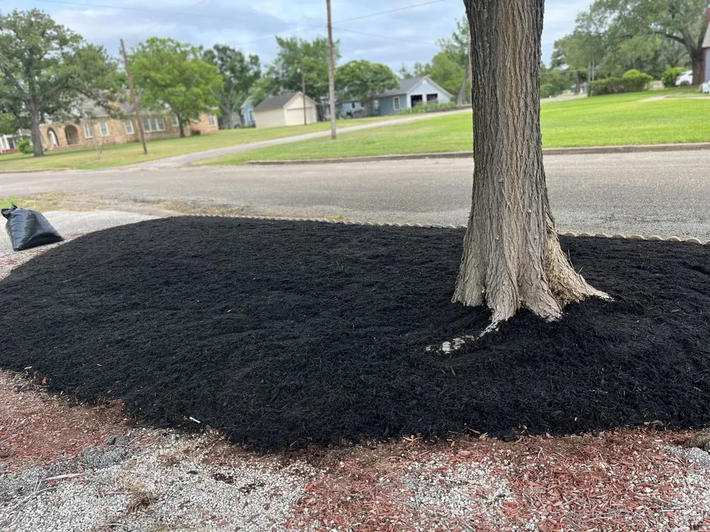 Top-rated landscaping services in Bryan, TX - Rodriguez Lawn Care and Landscaping