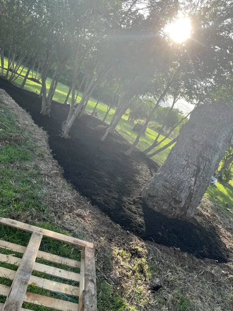 Reliable landscaping services near you in Bryan, TX by Rodriguez Lawn Care and Landscaping