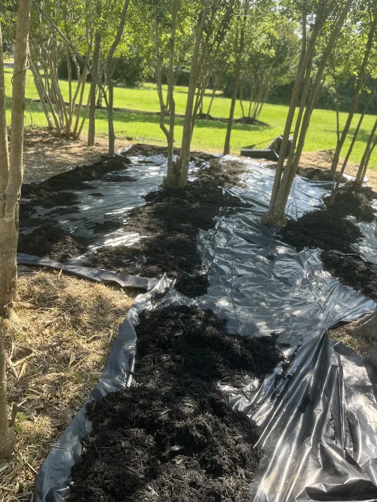 Local landscape installation with custom design across Bryan, TX - Rodriguez Lawn Care and Landscaping