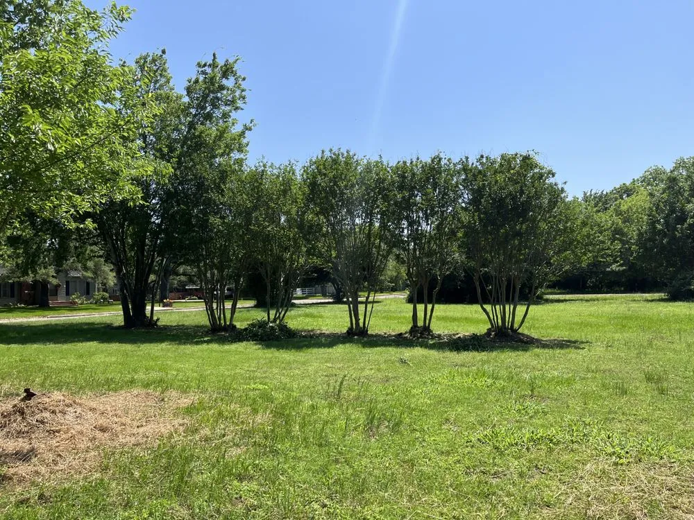 Professional yard maintenance for residential properties across Bryan, TX - Rodriguez Lawn Care and Landscaping