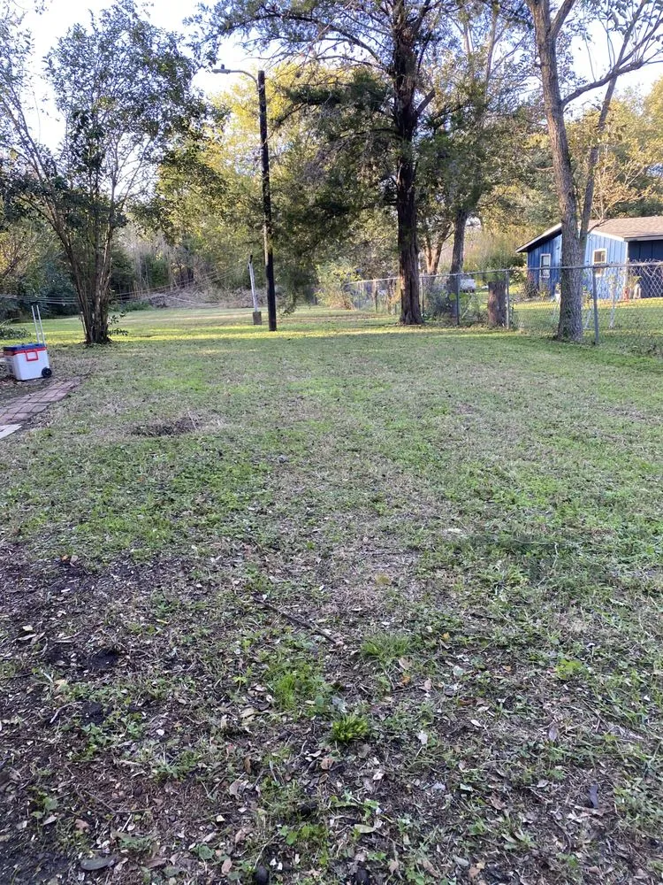 Top-rated yard maintenance for year-round maintenance in Bryan, TX by Rodriguez Lawn Care and Landscaping