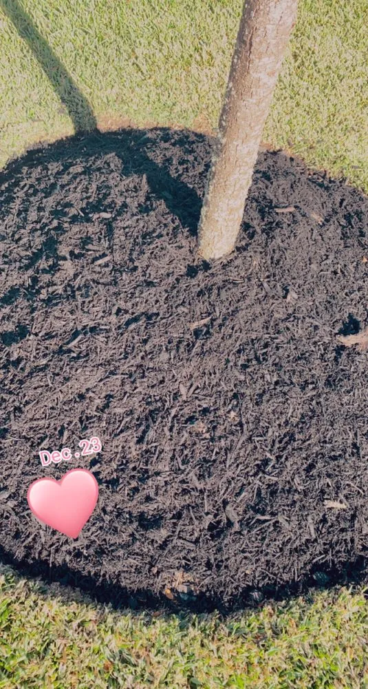 Affordable yard maintenance with custom design in Bryan, TX by Rodriguez Lawn Care and Landscaping