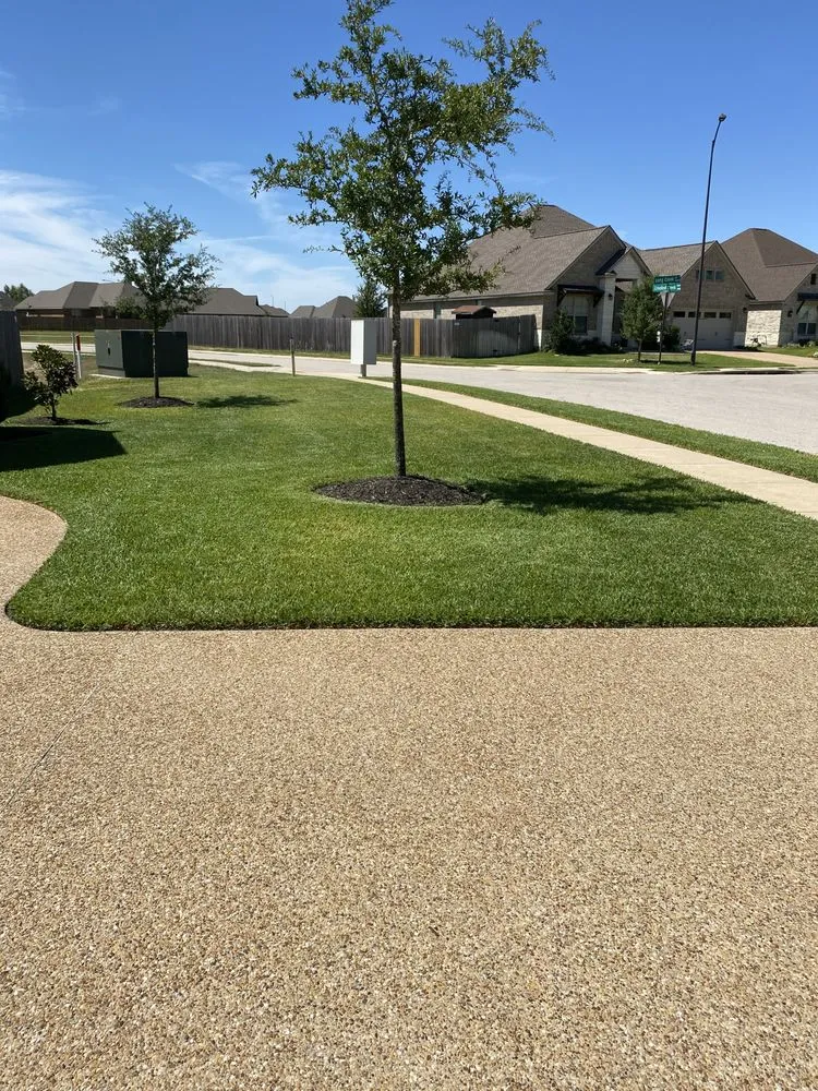 Trusted yard cleanup service in Bryan, TX by Rodriguez Lawn Care and Landscaping