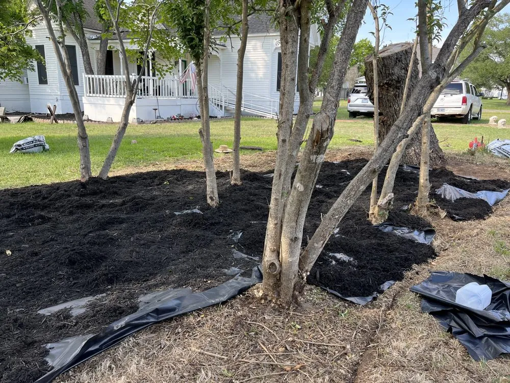 Expert yard cleanup service in Bryan, TX by Rodriguez Lawn Care and Landscaping