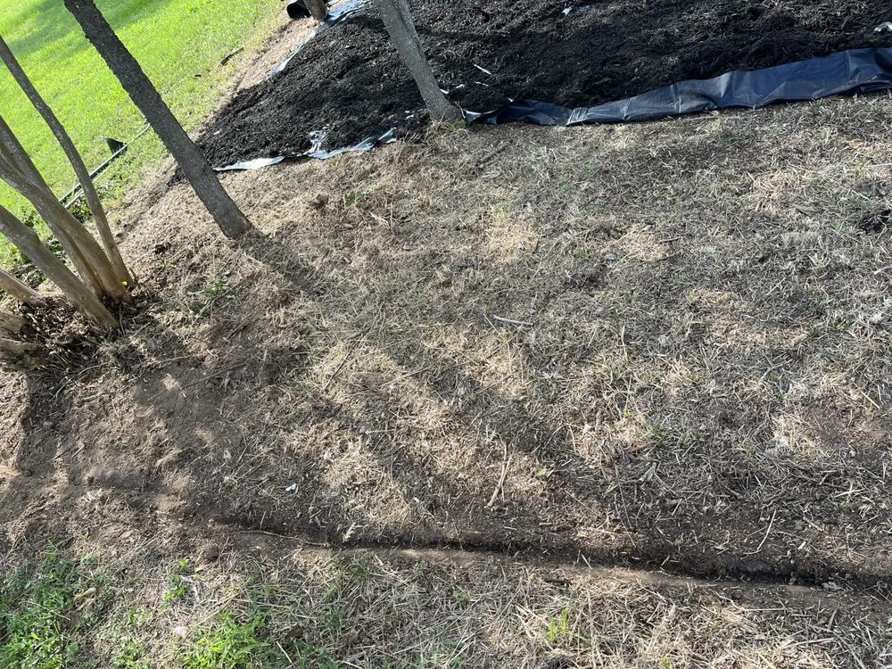 Trusted lawn mowing service experts serving Bryan, TX - Rodriguez Lawn Care and Landscaping