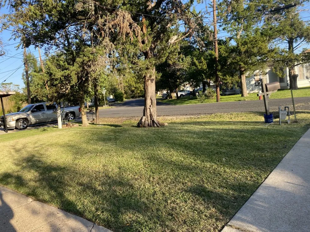 Professional lawn mowing service for outdoor upgrades across Bryan, TX - Rodriguez Lawn Care and Landscaping