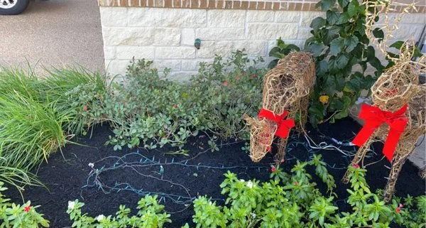 Rodriguez Lawn Care and Landscaping Logo