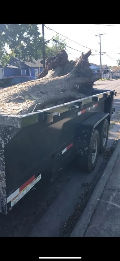 Top-rated yard cleanup service experts serving Corpus Christi, TX - Rodriguez Lawn Care