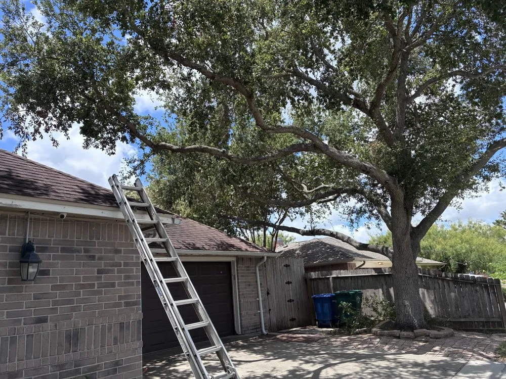Local yard cleanup service near you in Corpus Christi, TX by Rodriguez Lawn Care