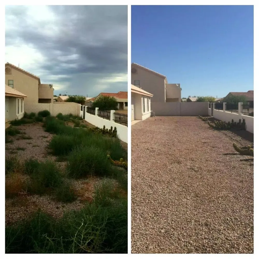 Professional landscape design in Eleven mile, AZ - Rodriguez Lawn Care
