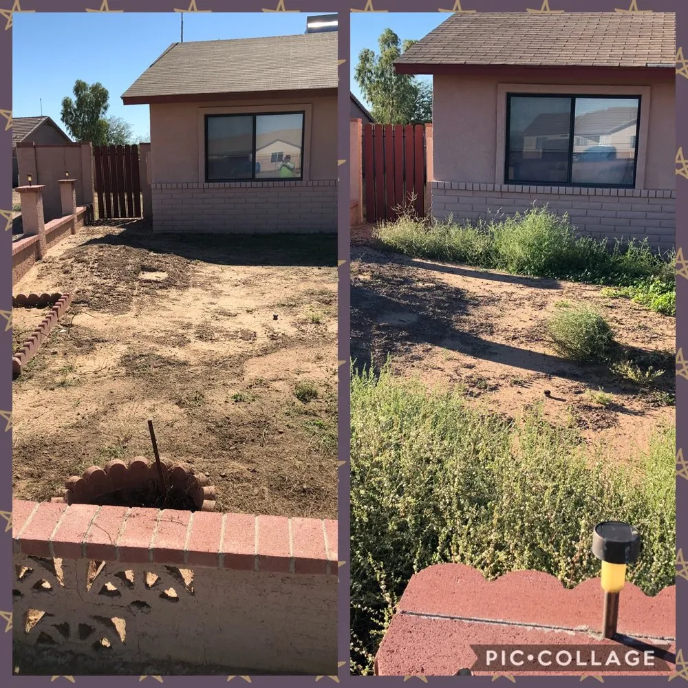 Trusted landscape design in Eleven mile, AZ - Rodriguez Lawn Care
