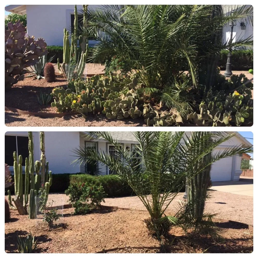 Top-rated outdoor landscaping in Eleven mile, AZ by Rodriguez Lawn Care