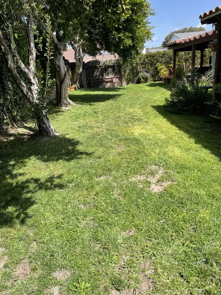 Top-rated yard maintenance in Lompoc, CA by Rodriguez Lawn Care