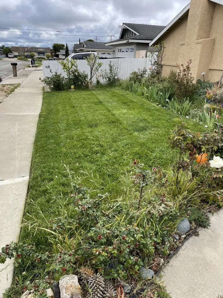 Trusted landscape installation in Lompoc, CA by Rodriguez Lawn Care