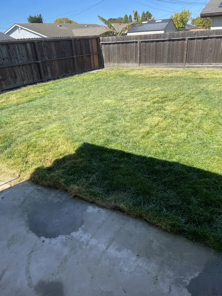 Trusted garden landscaping in Lompoc, CA by Rodriguez Lawn Care