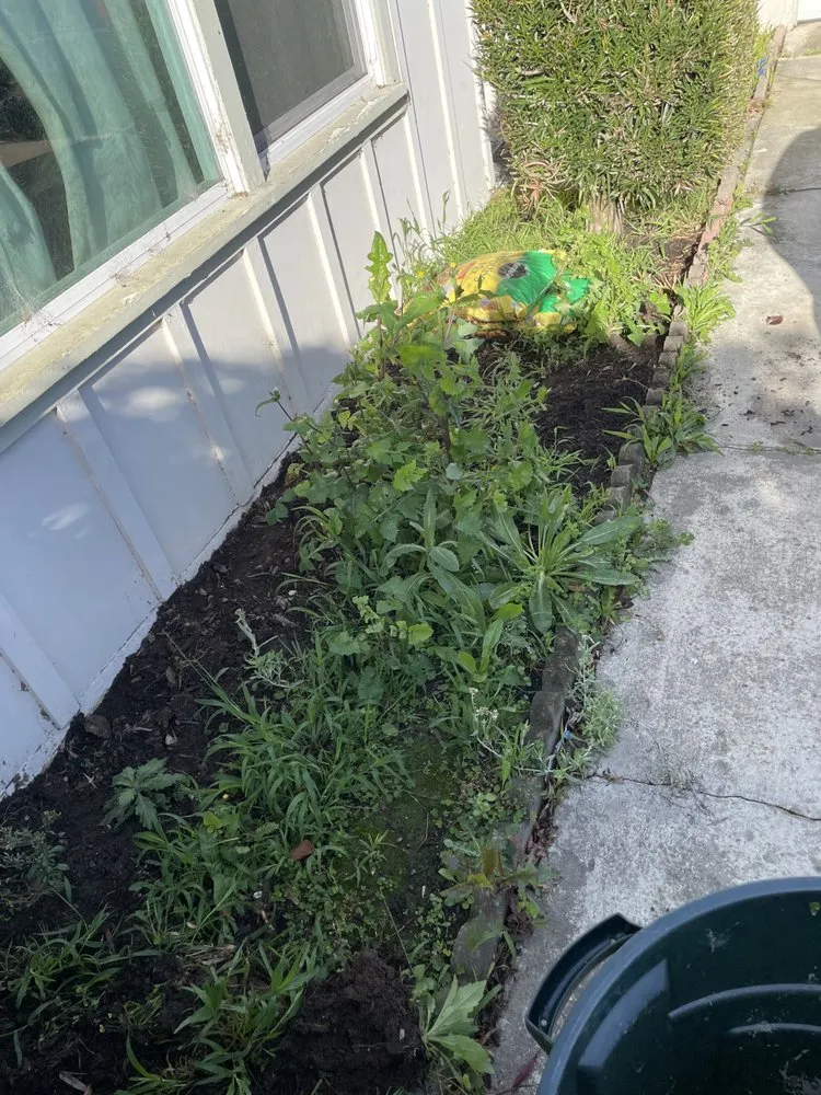 Top-rated outdoor landscaping for homes in Lompoc, CA by Rodriguez Lawn Care