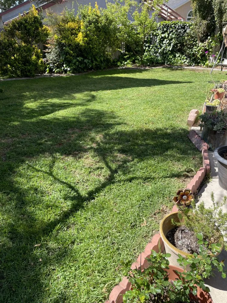 Professional landscape installation experts serving Lompoc, CA - Rodriguez Lawn Care